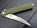 Eafengrow EF16 Folding Knife Flipper Ball Bearing Point D2 Blade G10 Handle with Pocket Clip Everday Carry Pocket Knife Liner Lock Camping Tactical Outdoor Multitool (Army Green)