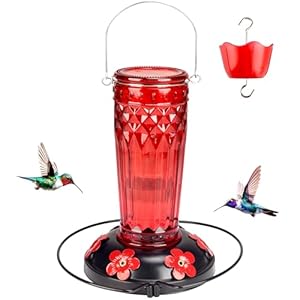 Hummingbird Feeder-22 Ounces，6 Feeding Ports Glass Hummingbird feeders for Outdoors,Wide Mouth for Easy Filling/Cleaning，Hanging for Garden Backyard Decor, Includes Ant Moat (Red)