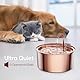 Tomxcute Katzenbrunnen Edelstahl Trinkbrunnen für Katze - 108oz/3.2L Ultra leise Wasserbrunnen für Katzen- große Kapazität Haustier-Wasser-Brunnen - Kupferoberfläche