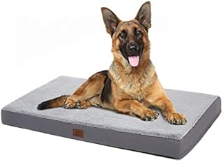 Eterish Extra Large Orthopedic Dog Bed for Medium, Large, Extra Large Dogs up to 100 lbs, 4 inches Thick Egg-Crate Foam Dog Bed with Removable Cover, Pet Bed Machine Washable, Grey