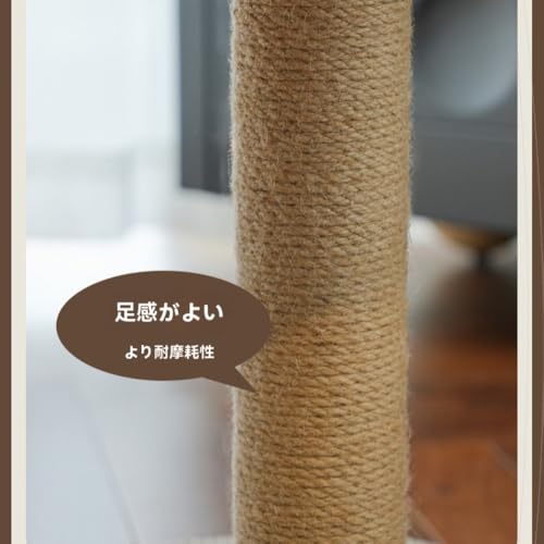 Sailozai L̂悶oIAˌ^̕~nOALtAݒ̂悶oWvAܖ{[L̂