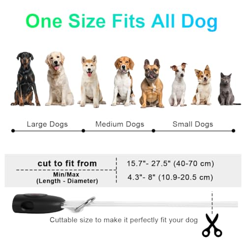 AUAUY LED Leuchthalsband Hund mit D-Ring, USB Aufladbar Längenverstellbarer Haustier Sicherheit Kragen Zuschneidbares Wasserdicht Leuchthalsband für Kleine Mittel Große Hunde (5 Farben+3 Leuchtmodi)