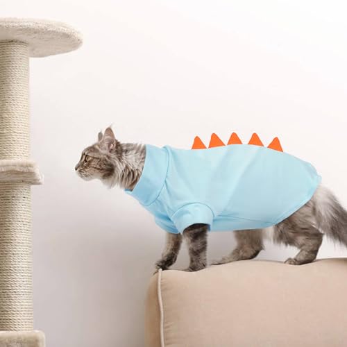 #1 Best Dentrun Sphynx Cat - Premium Pet Apparel Set - Image 8