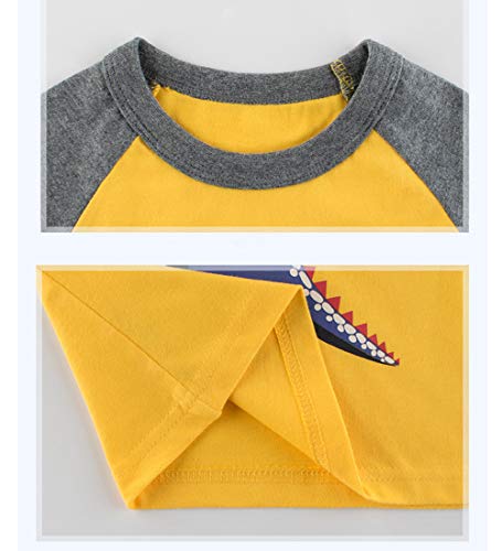 Toddler Boys Long Sleeve Shirts Cotton T-Rex Dinosaur T-Shirts Multipacks3