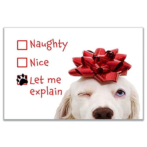 Allynn's 20 Funny Naughty Dog Christmas Cards, Boxed with Envelopes, 10 Define Naughty and 10 Feliz Naughty Dog cards (Let Me Explain)