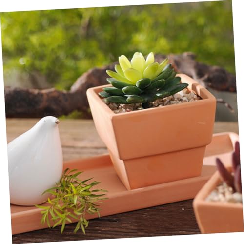 Pots de fleurs terre cuite durables en lot de 5 pour petits espaces