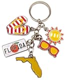 Westmon Works Florida Keychain Sunshine State Shape License Plate and Sunglasses Charms Metal Key Chain Ring Souvenir
