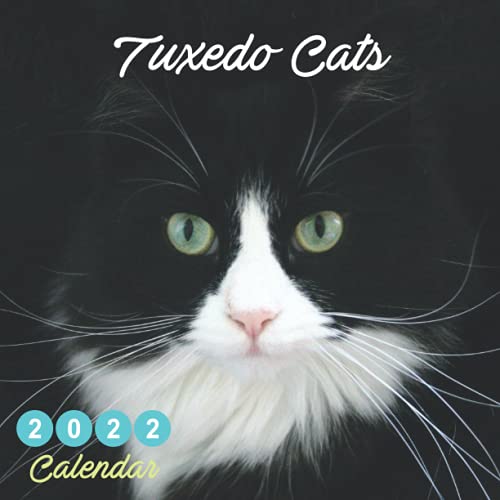 Tuxedo Cats Calendar 2022: Tuxedo Cats 2022 Calendar 16 Months 2022-2023