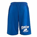 [アートワークスコウベ] サッカー ハーフパンツ ドライ 練習着 サッカーカートゥーン 七転び八起き ユニセックス L ロイヤルブルー