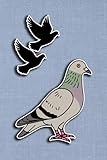 Quarter Inch Grid Notebook with a Pigeon on the Cover: For Enthusiasts and Breeders of Feathered Friends.