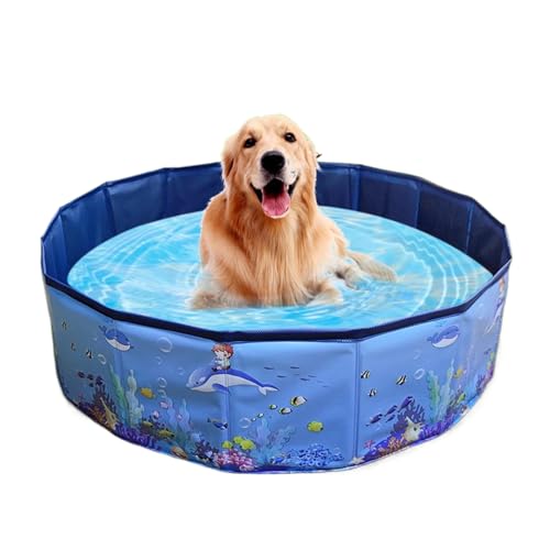 Piscina para cães, piscina ao ar livre para animais de estimação - Banheira impermeável dobrável par