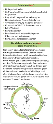 nemabest® SF Nematoden 1,5 Mio. (15 Pflanzen/3m²) gegen Trauermücken – Ansicht 2