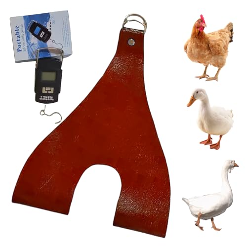 Soporte para gallinas y pollos con correa de pesaje para granja 8
