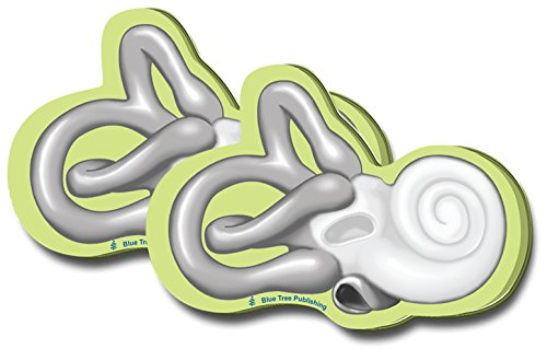 Cochlea Sticky Notes, 2 Pack-100 Sheets Per Pack