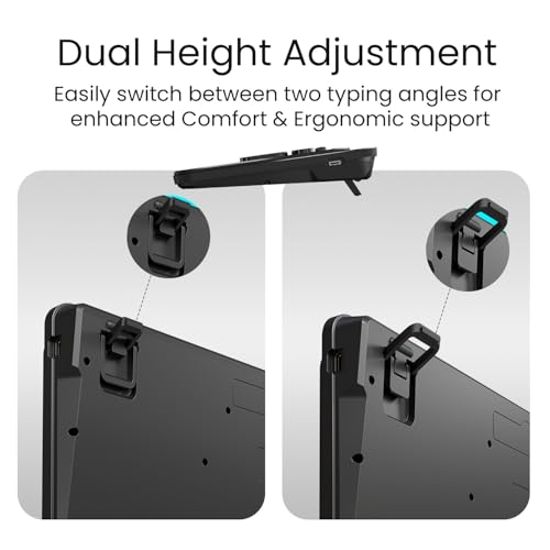 Product Variant View