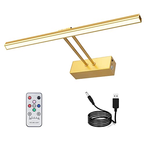 Image of RAIFOOLLY Picture Light,5000mAh Rechargeabl Art Lights for Paintings,Remote 16 inch Display Accent Lighting with Timer and Dimmable for Wall,Frame,Portrait-Gold