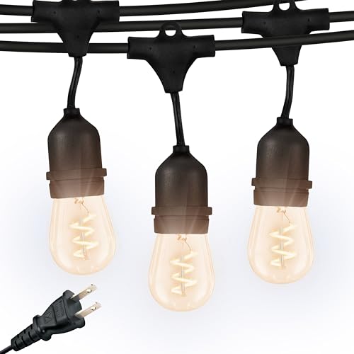 Brightech Ambience Pro - Waterproof LED Outdoor String Lights - 15 Bulbs, Dimmable 2W Vintage Spiral Edison Bulbs - 48 Ft Commercial Grade Patio Lights Cafe Ambience in Your Backyard -  AMB-SPRL-2W-48-SW