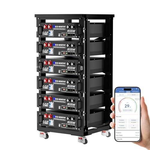 ECO-WORTHY (Cubix 100) 48V 600Ah Server Rack Battery LiFePO4 w/Bluetooth | 6 Pack 30.72kWh Solar Battery Kit for Home Backup | UL1973 & UL9540A & CEC Listed (Get Free 6-Layer Rack with 600A