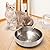 Cat Bowls Stainless Steel 304, NATRUTH 2 Pcs Cat Bowl, Cat Food and Water Bowls, Safe and Healthy Multi-purpose Cat Feeding Bowl, Pet food Bowls for Cats and Small Dogs