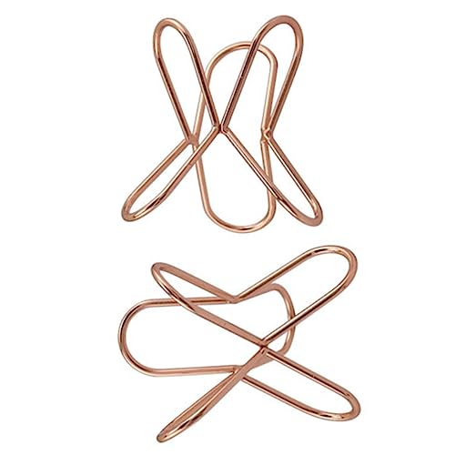 LALADEFIEE 2CNAbvptX^h ^? σX|W[bN ϋvƐۃ^ptz_[