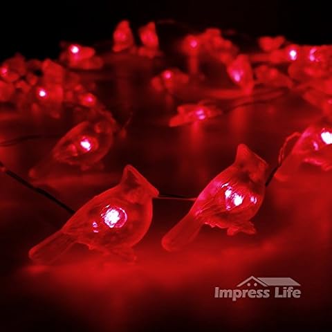 Impress Life Christmas String Lights, Cardinal Red Snow Bird 10 ft 50 LEDs with Remote Timer for Covered Outdoor, Thanksgiving, Wedding, Birthday, Bedroom, Parties & Home Decorations Cover