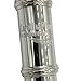 TEACHER APPROVED! Carolina Winds Intermediate Flute (cw401flt) Silver