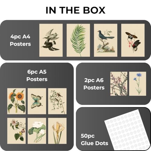 Image of Funk You Store Vintage Botanical Prints Wall Art (Set of 12) - Botanical Plant Poster, Butterfly Pictures Bird Art Sunflower Fern Prints, Flower Painting Home Bedroom Decorations (D 024)