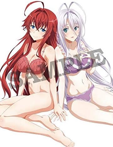 Amazon ハイスクールd D Hero B2 布 ポスター 特典 リアス グレモリー ロスヴァイセ タペストリー プレミア アニメ 萌えグッズ 通販