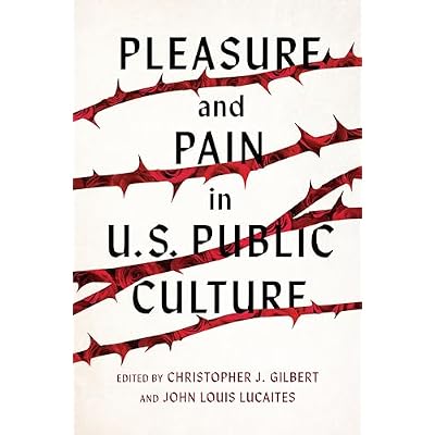 Pleasure and Pain in US Public Culture