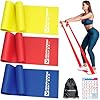 Resistance Bands for Working Out, Exercise Bands for Physical Therapy, Stretch, Recovery, Pilates, Rehab, Strength Training and Yoga Starter Set