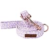 Lionet Paws Spring Daisy Dog Leash Matching Dogs Collar for Small Medium Dog