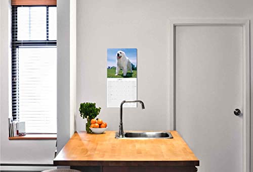 2022 2023 Great Pyrenees Calendar - Dog Breed Monthly Wall Calendar - 12 X 24 Open - Thick No-Bleed Paper - Giftable - Academic Teacher's Planner Calendar Organizing & Planning - Made In Usa #TOP5