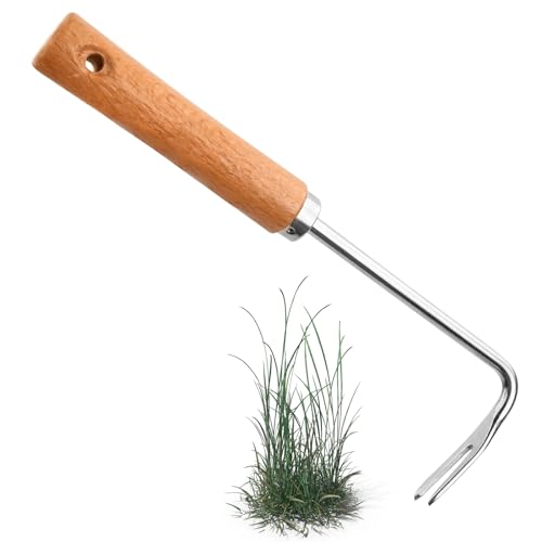 HoaaiGo Escardadora Manual, Malas Hierbas Extractor, Jardinería de Acero Inoxidable Herramientas de Desmalezado con Mango de Madera para Quitar Dientes de León Cardos Maleza