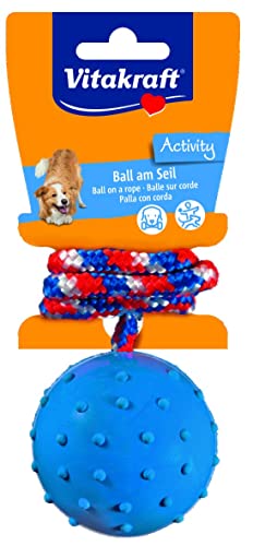 Volumoon Hundespielzeug Ball Am Seil - Interaktives Spielzeug Mit Zahnpflege