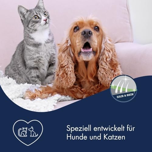 Dr.Clauder's Barf Traditionelles Lachsöl