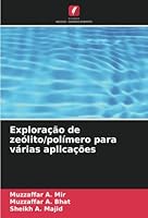 Exploração de zeólito/polímero para várias aplicações 620529611X Book Cover