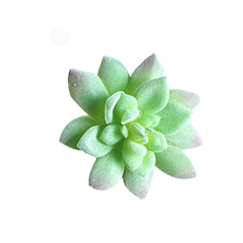 WINOMO 3 peças de plantas suculentas artificiais de cacto falso flores para plantas DIY decoração de