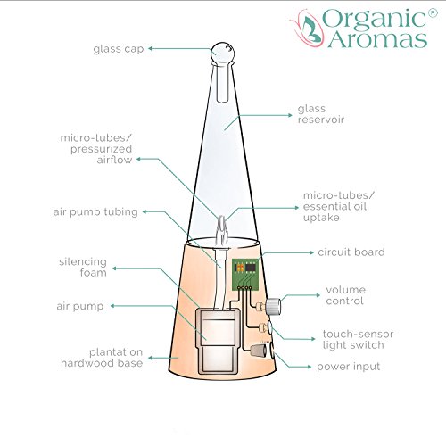 Exquisite Nebulizing Essential Oil Diffuser For Aromatherapy By Organic Aromas - Light-Colored Wood Base With Glass Reservoir (Light-Colored Wood) #TOP2