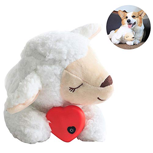 all for paws little buddy heart beat sheep