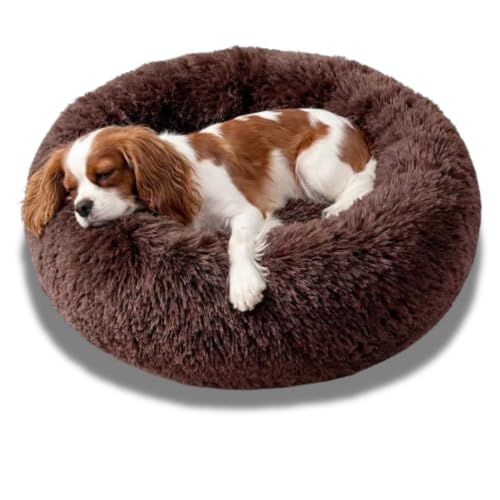 Image of ZEXSAZONE Round Donut Pet Bed for Cats and Puppies Dogs, Cozy and Plush, Raised Bedside Support, Both Sides Use Like 2 in One, Washable, Sizes for Small, Medium, and Large Pets. (Coffee, Small)