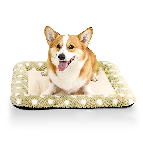 Peto-Raifu ybgNbV ybgxbh ybg\t@[ }bg ^ ^ L  Q Q[W~ L 􂦂  g ӂӂ rbgt@[ ʔNp ΍ ybgpi hbg O[ 70x55x5cm