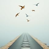 Tidak Cantik Tapi Setia