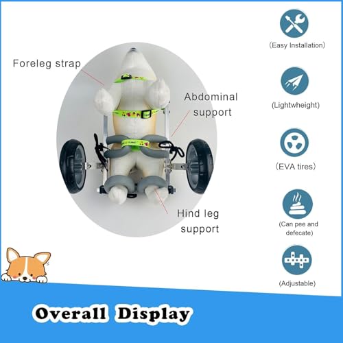 CHZDPP Hunde-Rollstuhl Leichte Hunderäder für Hinterbeine, Hunderollstuhl für gelähmte Hinterbeine, Kleine/mittlere Hunderollstühle für 5 10 15 20 lbs(XXS)
