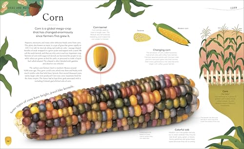 The Secret World of Plants: Tales of More Than 100 Remarkable Flowers, Trees, and Seeds