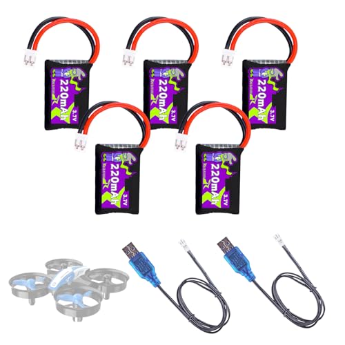 Raebatuol HS210 5-Pack Battery and Charger Kit