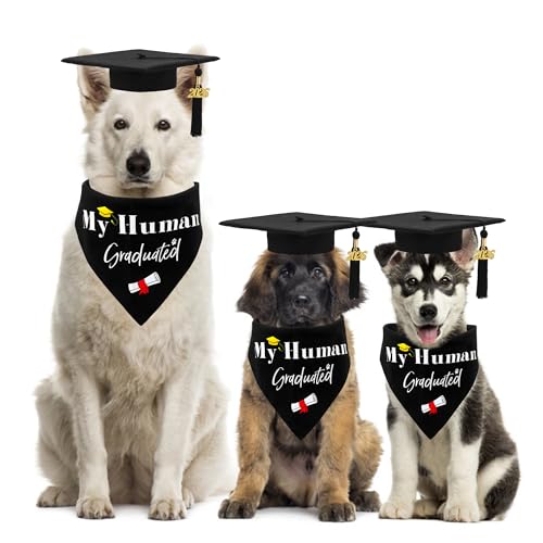 Set Graduación para Perros Large con Gorro y Bandana miniatura 3