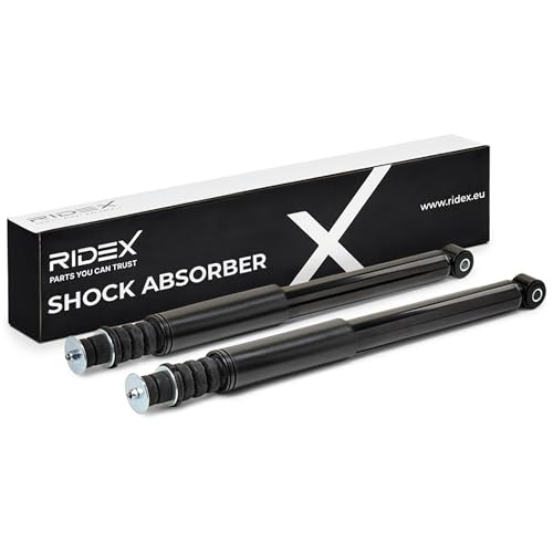 RIDEX 2x Amortisseur Arrière 2x Jeu, Pression de gaz pour RENAULT Clio III 3/5 portes (BR0/1, CR0/1) Modus/Grand Modus (F, JP) Clio III Grandtour (KR0/1) Zoe...