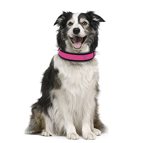 Tdtok Soft Neoprene Padded Dog Collar, Adjustable Durable Nylon Dog Collar For Small Medium Large Dogs, Breathable Heavy Duty Reflective Dog Collars With Metal Safety Buckle #TOP1