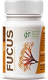 GHF Fucus - Complemento Alimenticio, 100 comprimidos