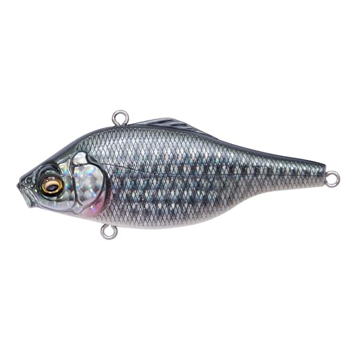 Amazon.co.jp: Megabass(メガバス): バイブレーション